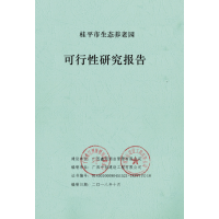 简单来讲，可行性研究报告是什么？哪个部门审批？广西可行性研究报告工程师